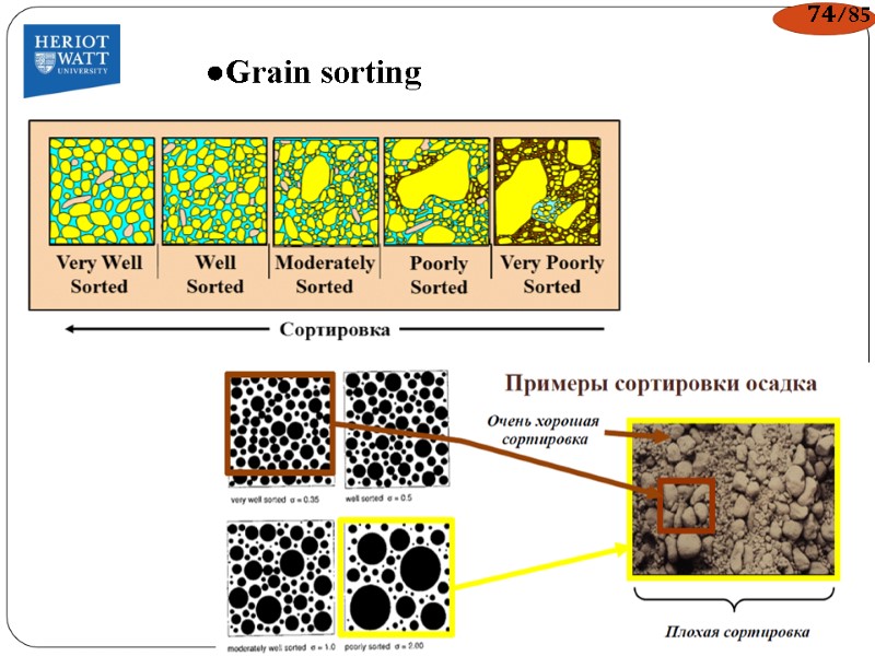 ●Grain sorting 74/85